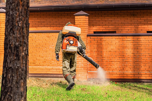 Trusted Ant Control service in Trophy Club, TX - Nex Pest Control